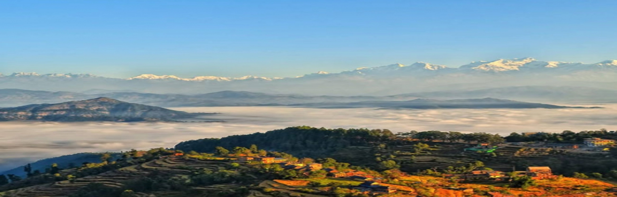A Day Hiking To Phulchowki 