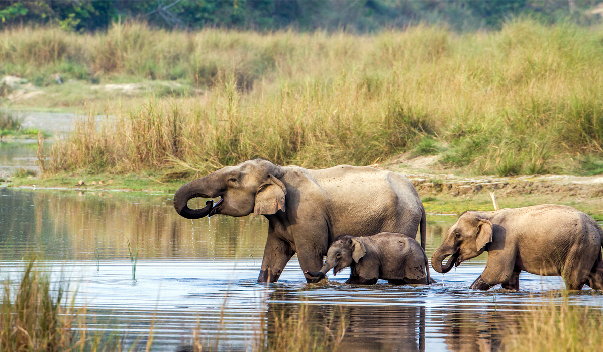 National parks in nepal