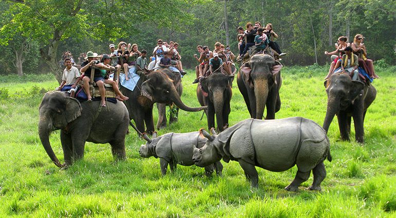 Seven Days Six Nights Nepal Tour - Chitwan National Park 629